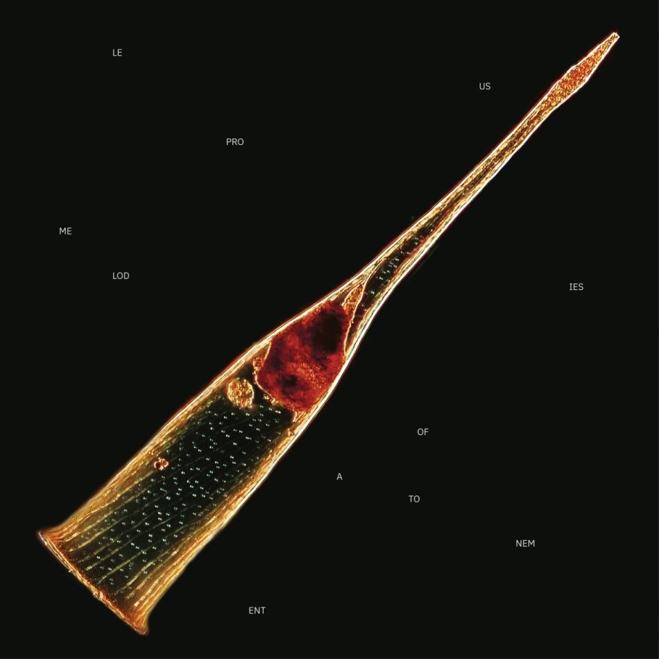 Leprous - Melodies Of Atonement Gatefold, Limited Edition, Transparent Red Vinyl, 2 LPs