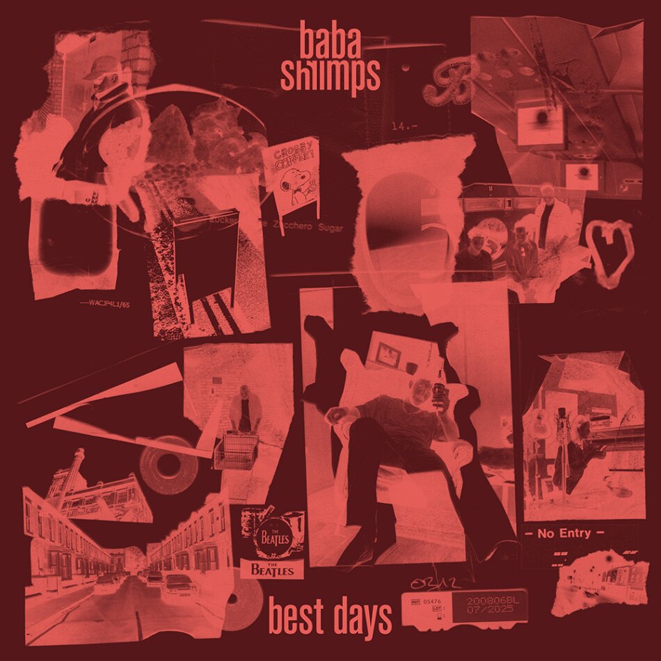 Baba Shrimps - Best Days 10" Maxi
