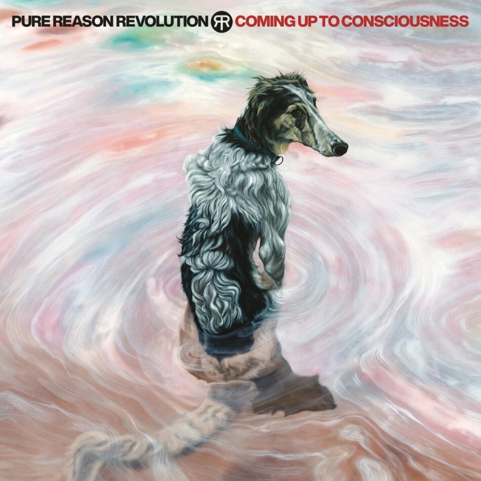 Pure Reason Revolution - Coming Up To Consciousness Limited Edition, CD + DVD