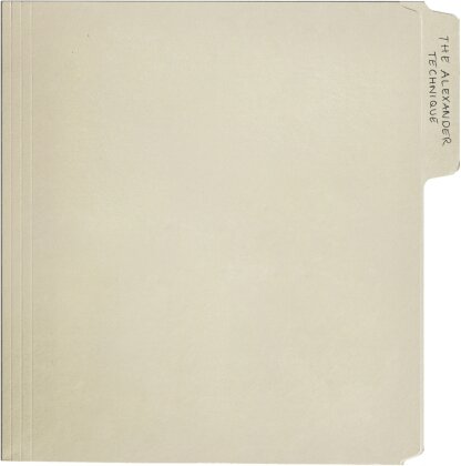 Rex Orange County - Alexander Technique (140 Gramm, Gatefold, + Poster, 2 LPs)