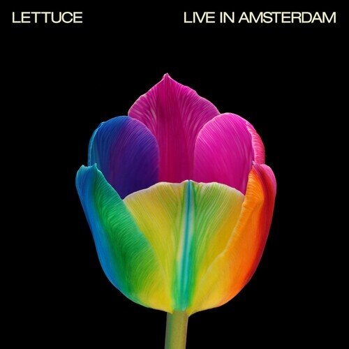 Lettuce - Lettuce LP