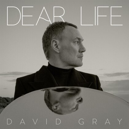 David Gray - Dear Life (LP)
