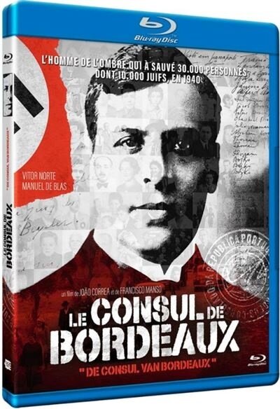 Le consul de Bordeaux (2011)