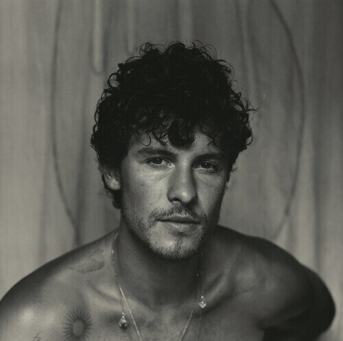 Shawn Mendes - Shawn 2024 Reissue, Gatefold, Brown Vinyl, LP