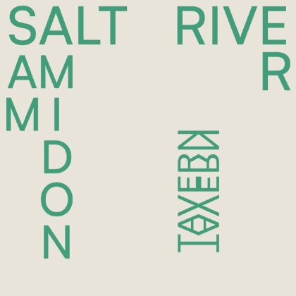 Sam Amidon - Salt River (LP)