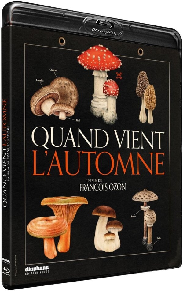 Quand vient l'automne (2024)