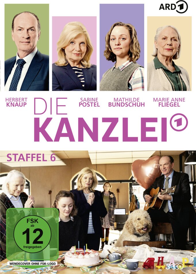 Die Kanzlei - Staffel 6 3 DVDs