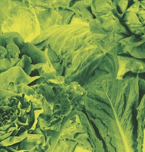 Lettuce - Monorail 3000 B/W Star Children 7" Single