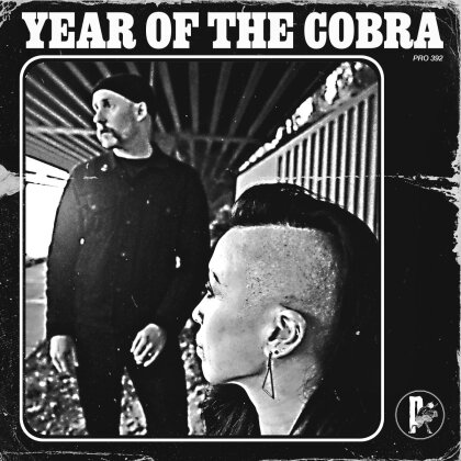 Year Of The Cobra - ---