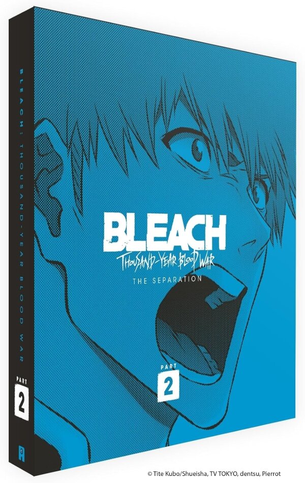 Bleach: Thousand-Year Blood War - Part 2 : The Separation Collector's Edition, 2 DVDs