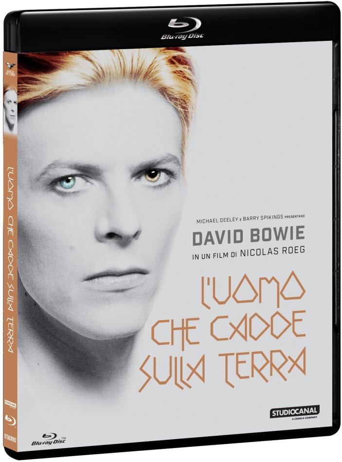 L'uomo che cadde sulla Terra (1976)