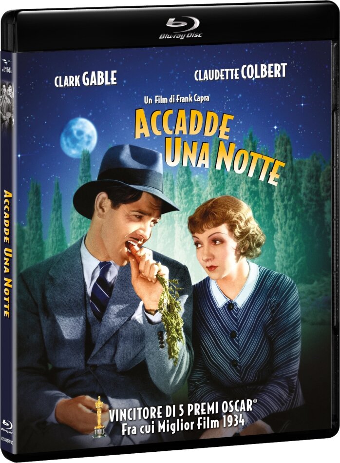 Accadde una notte (1934) s/w