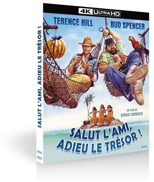 Salut l'ami, adieu le trésor ! (1981)