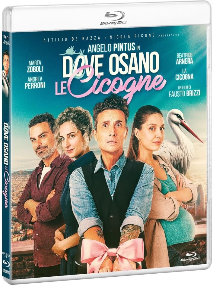 Dove osano le cicogne (2025)