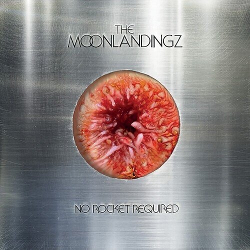 Moonlandingz (Fat White Family / Eccentronic Research Council) - No Rocket Required
