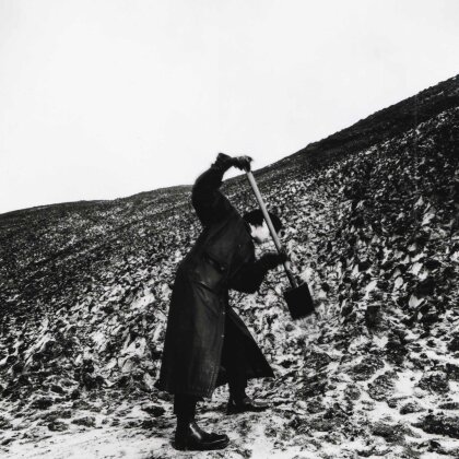 Drangsal - Aus keiner meiner Br&uuml;cken die in Asche liegen ist je ein Ph&ouml;nix emporgestiegen