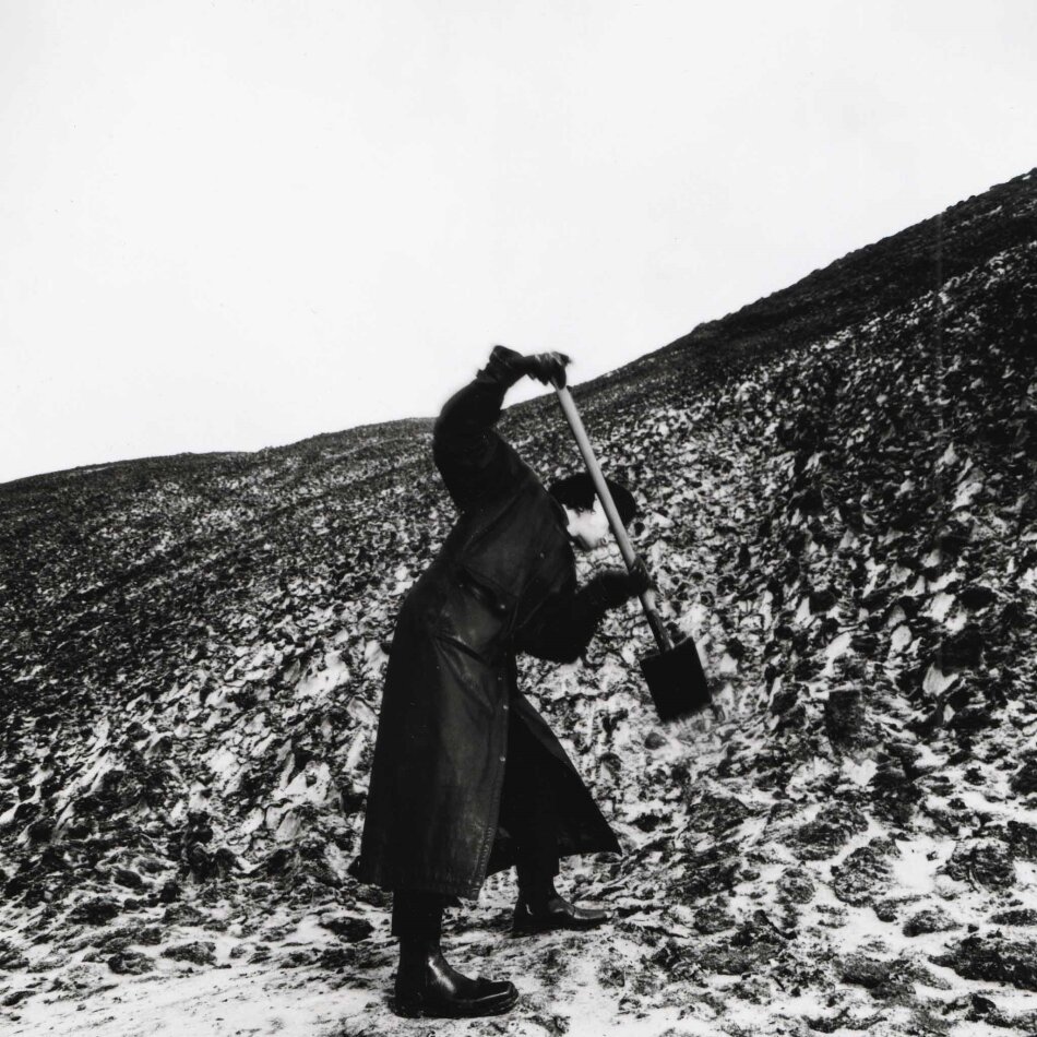 Drangsal - Aus keiner meiner Brücken die in Asche liegen ist je ein Phönix emporgestiegen