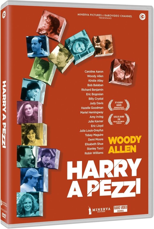 Harry a pezzi (1997)