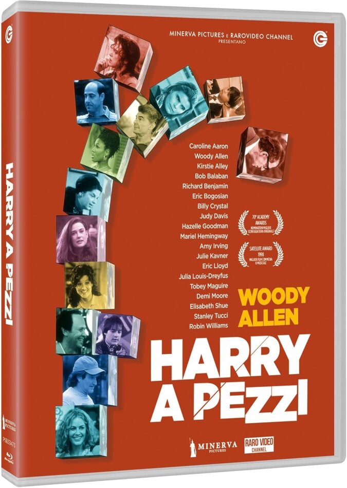 Harry a pezzi (1997)