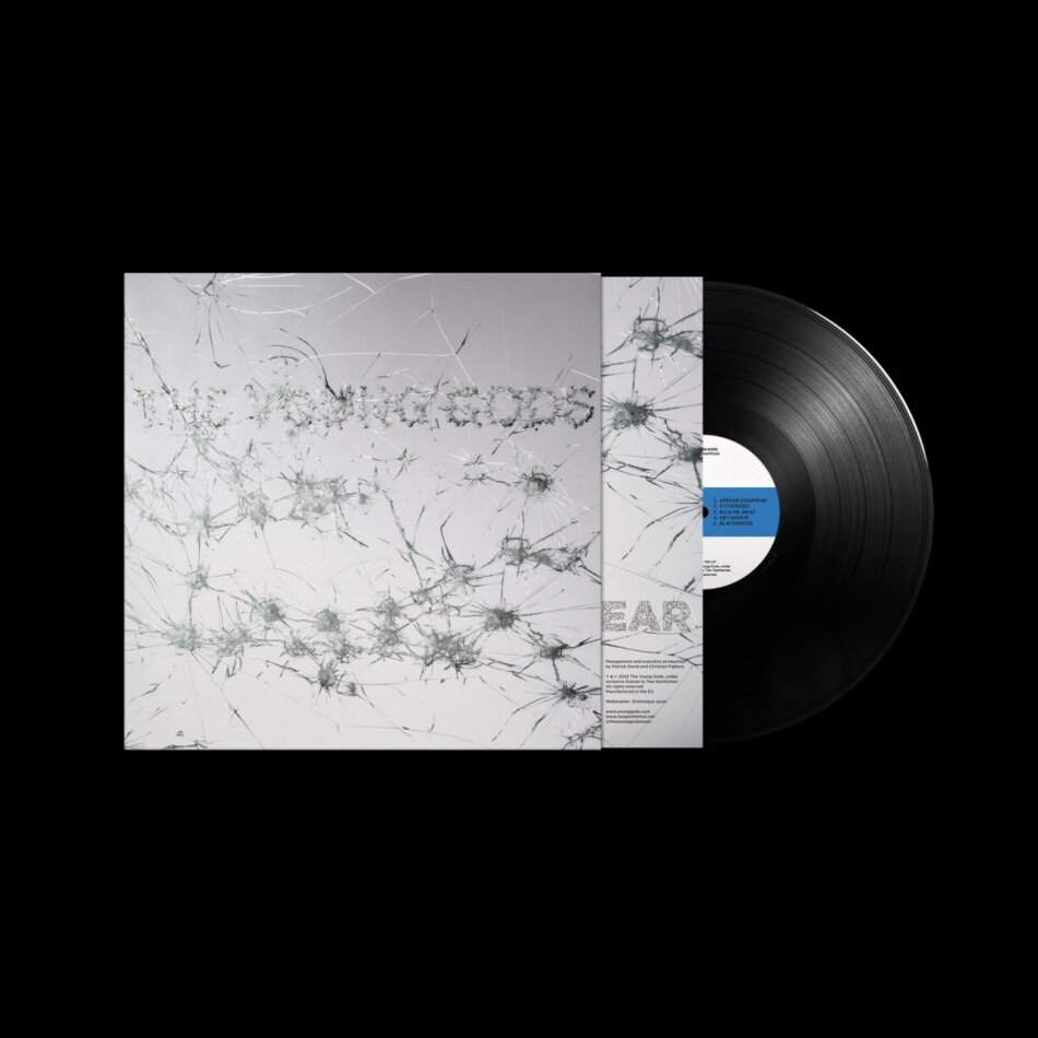 The Young Gods - Appear Disappear Black Vinyl, LP + CD