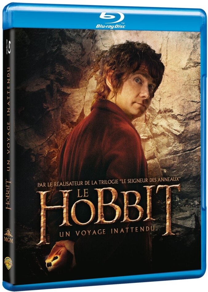 Le Hobbit - Un voyage inattendu (2012)