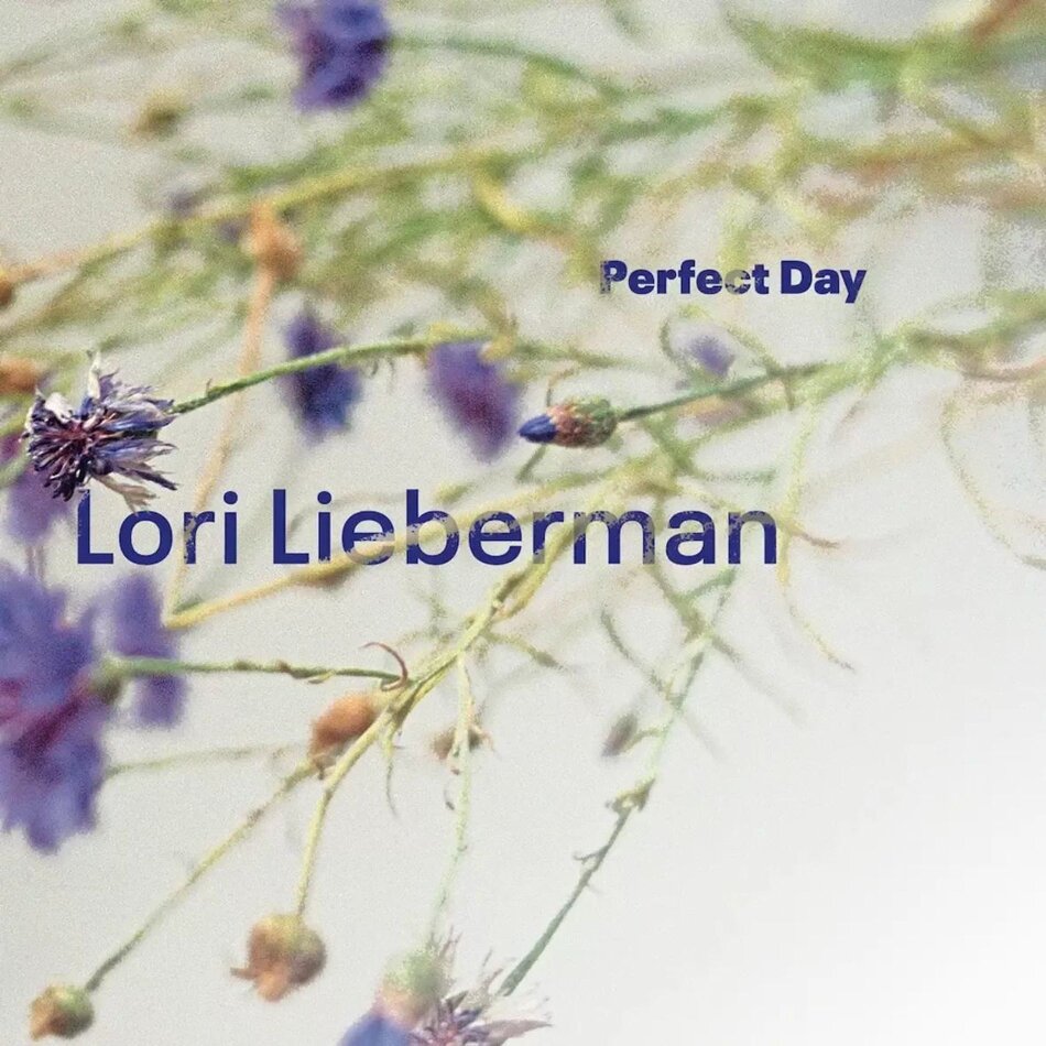 Lori Lieberman - Perfect Day 45 RPM, Gatefold, Limited Edition, LP