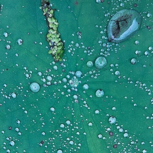 Peter Chilvers - Dust 1 10" Maxi