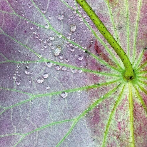 Peter Chilvers - Dust 2 10" Maxi