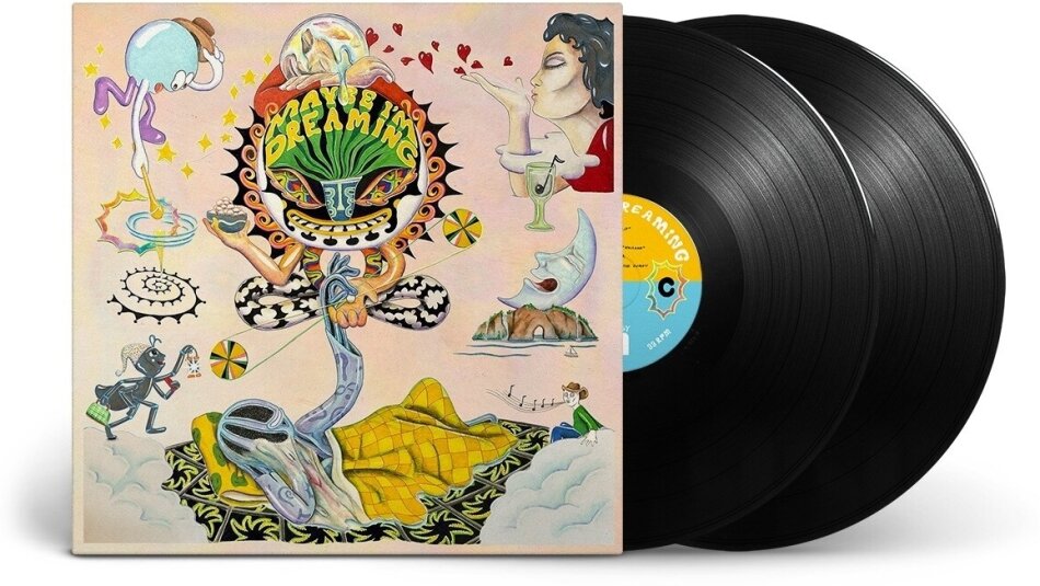 Maybe I'm Dreaming Mexican Summer, 2 LPs