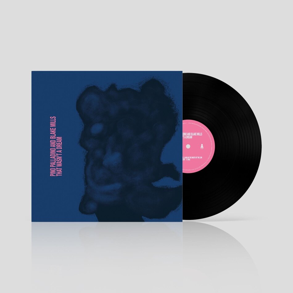 Pino Palladino & Blake Mills - That Wasn't a Dream LP