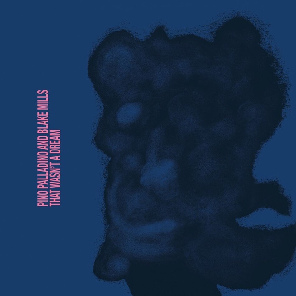 Pino Palladino & Blake Mills - That Wasn't a Dream