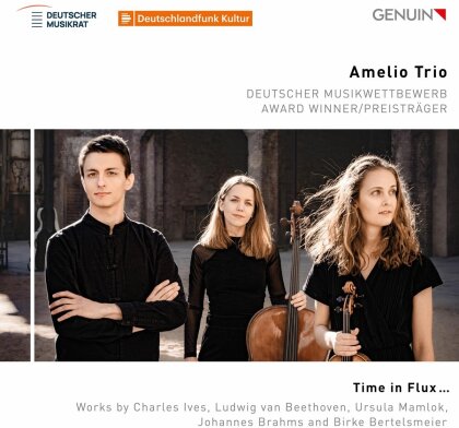 Amelio Trio - Time In Flux