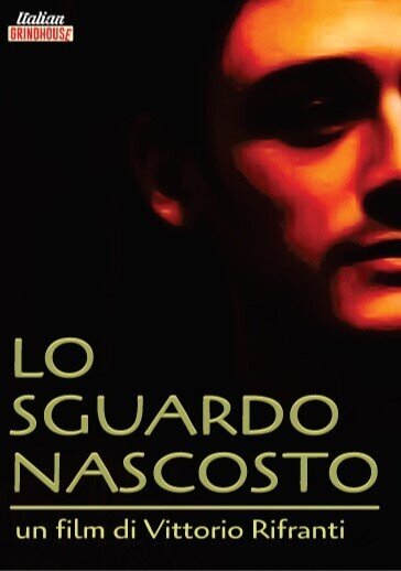Lo sguardo nascosto (2004)