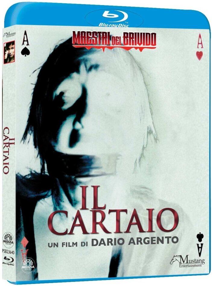 Il cartaio (2004)