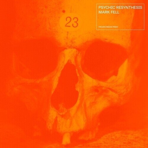 Mark Fell - Psychic Resynthesis LP