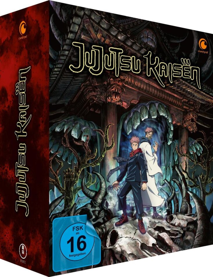 Jujutsu Kaisen - Staffel 1 Gesamtausgabe, 4 DVDs