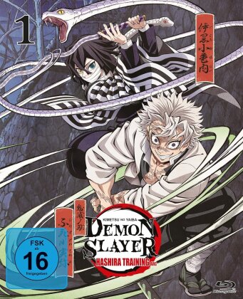 Demon Slayer: Kimetsu no Yaiba - Hashira Training Arc - Staffel 4 - Vol. 1