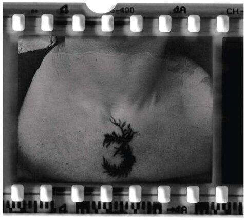 The 3Rd & Mortal - --- Kontor