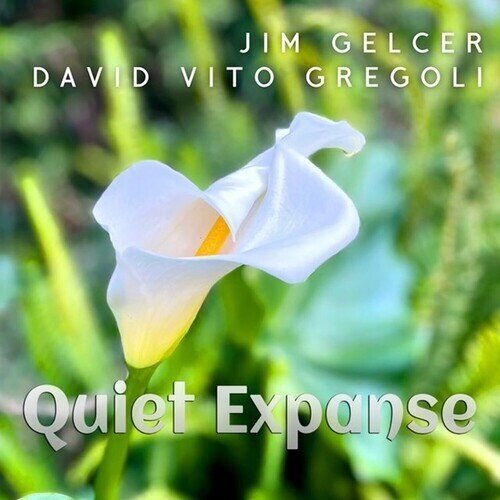 David Vito Gregoli & Jim Gelcer - Quiet Expanse ECOPAK - BIODEGRADABLE PKG
