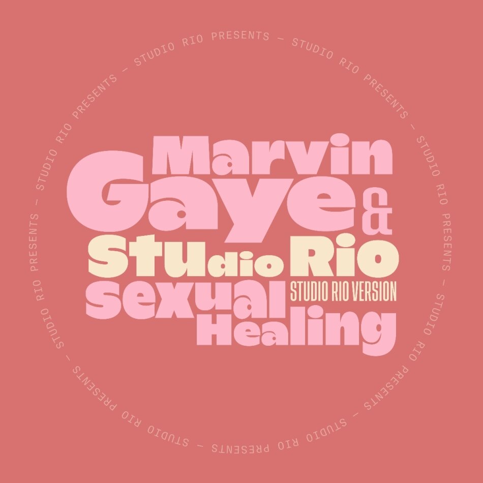 Marvin Gaye & Studio Rio - Sexual Healing 12" Maxi