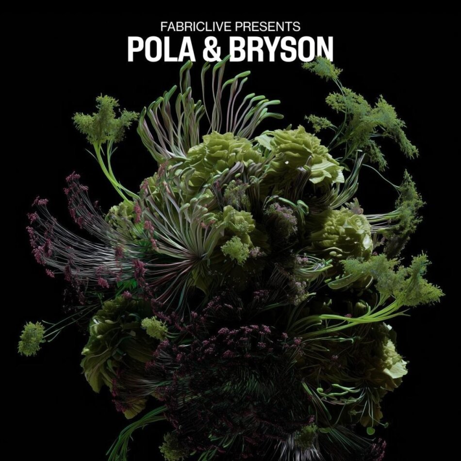 Pola & Bryson - Fabriclive Presents: Pola & Bryson 2 12" Maxis