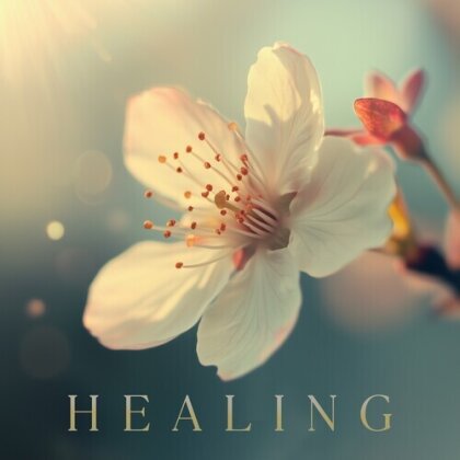 Healing (Domo Records)