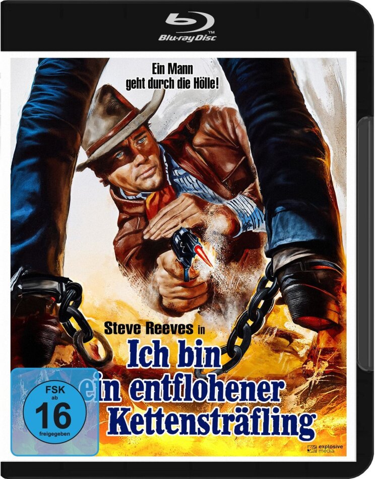 Ich bin ein entflohener Kettensträfling (1968)
