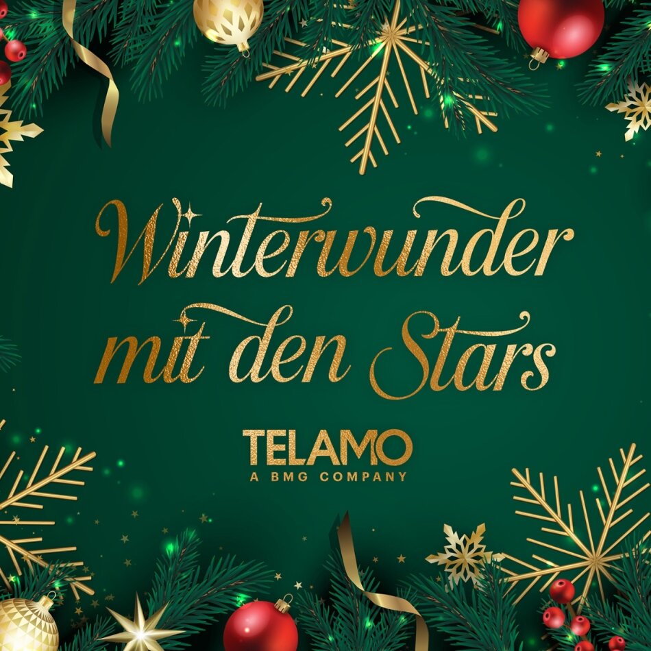 Winterwunder mit den Stars Telamo