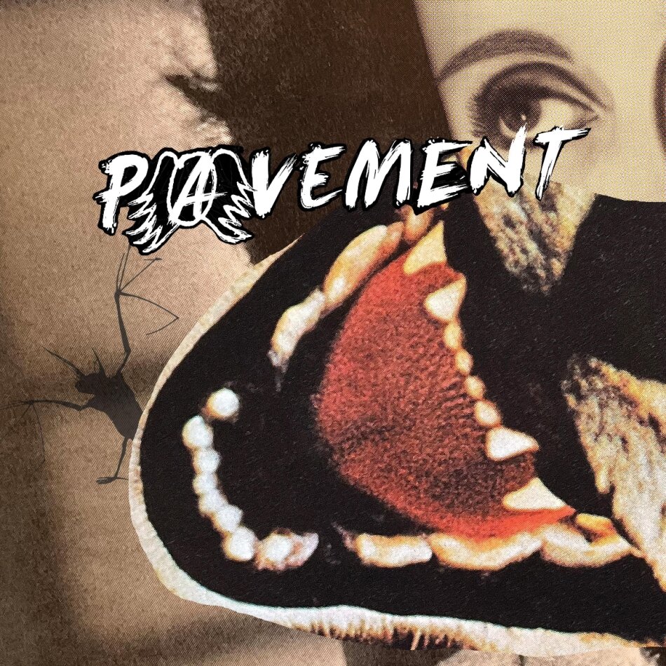 Pavement - Hecklers Choice: Big Gums And Heavy Lifters LP