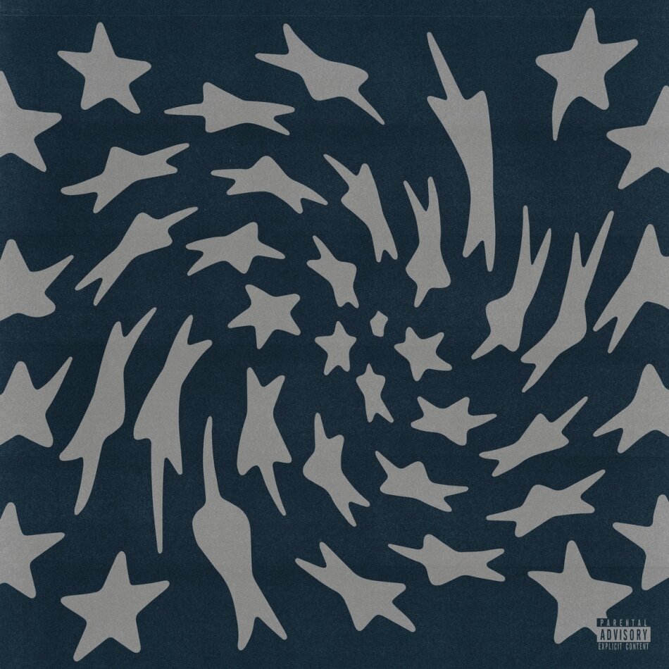 Toro Y Moi - Hole Erth Silver Smoke Vinyl, LP