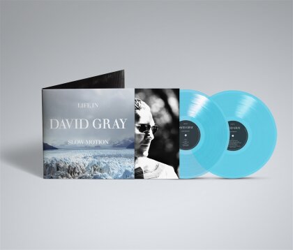 David Gray - Life In Slow Motion (2025 Reissue, 20th Anniversary Edition, Deluxe Edition, 2 LPs)