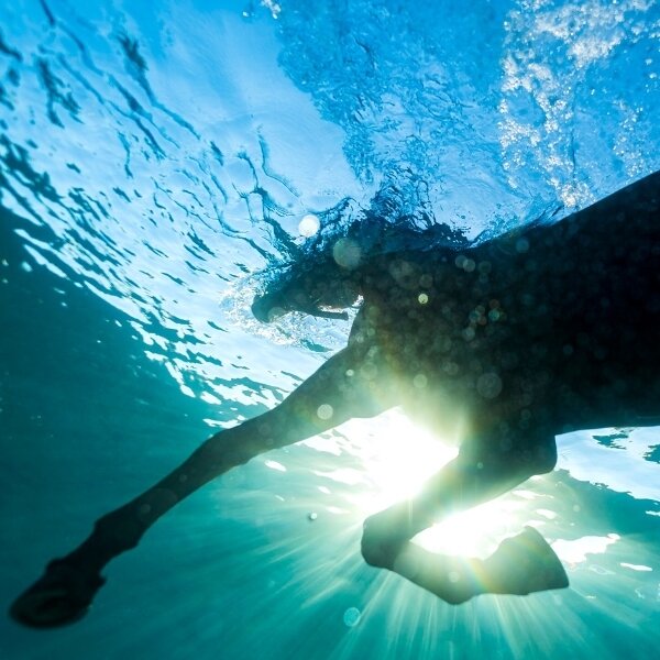 Dream Nails - You Wish Digipack