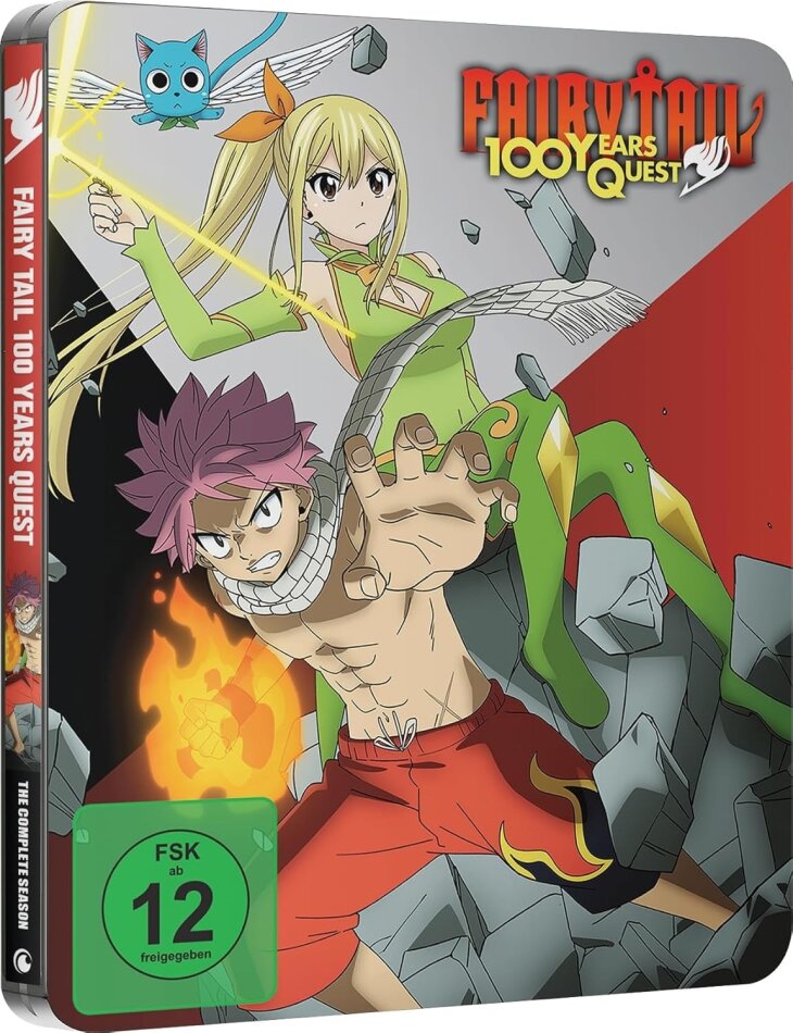 Fairy Tail: 100 Years Quest Gesamtausgabe, Limited Edition, Steelbook, 4 DVDs
