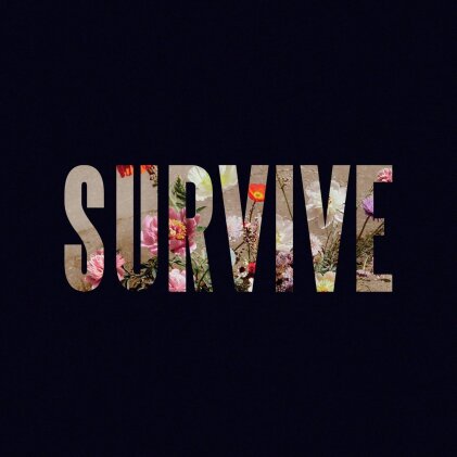 Lewis Capaldi - Survive (EP) (CD Single)